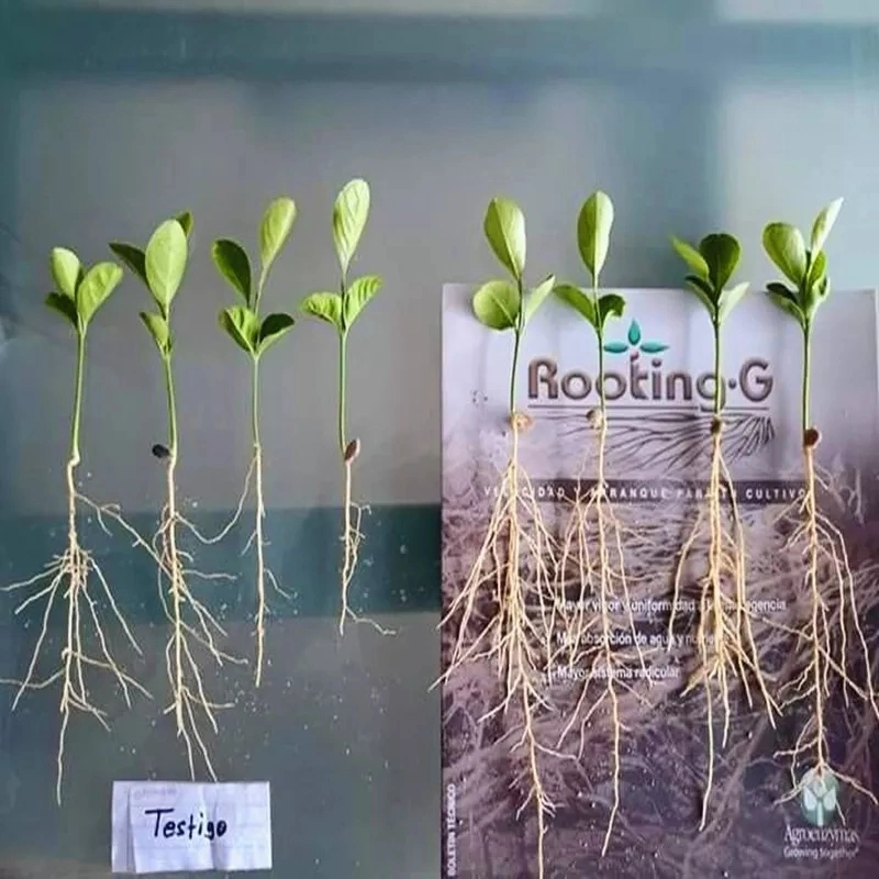 High Quality Plant Hormone Root Regulator Iba Naa 2%Sp