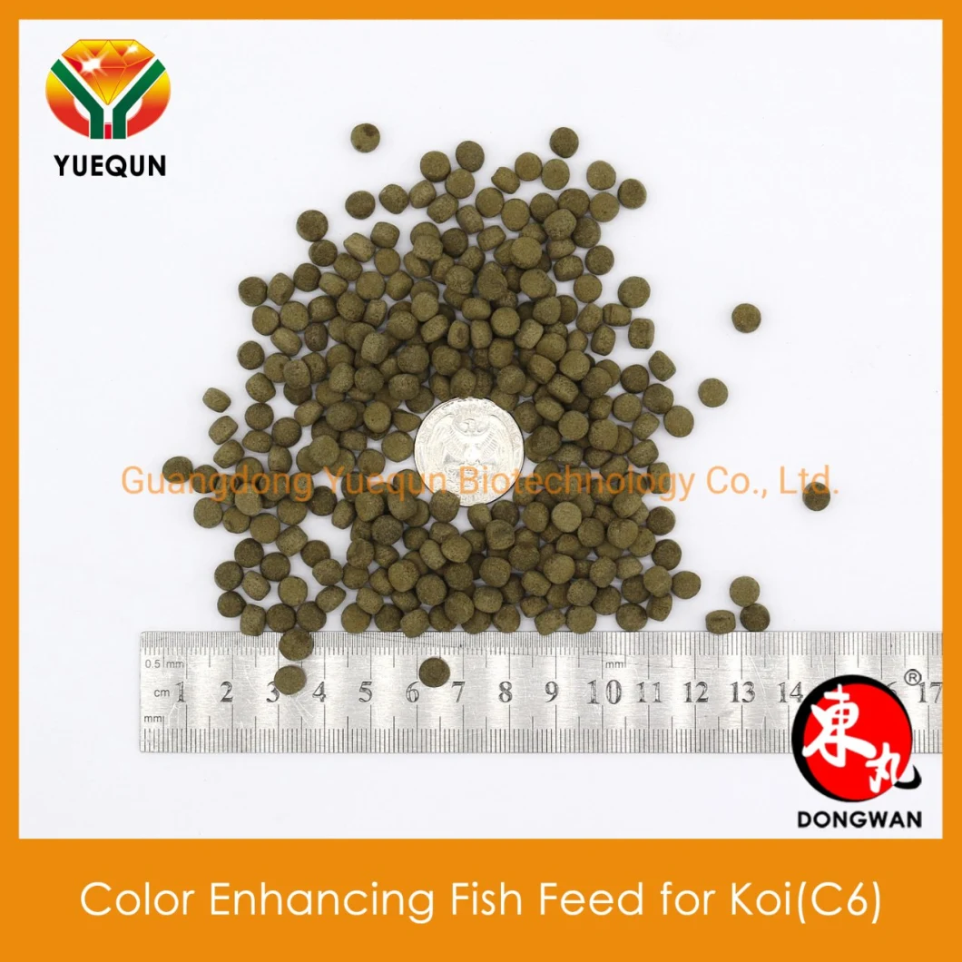 China Factory Ornamental Fish Food Fish Feed Color Enhancing Food for Koi