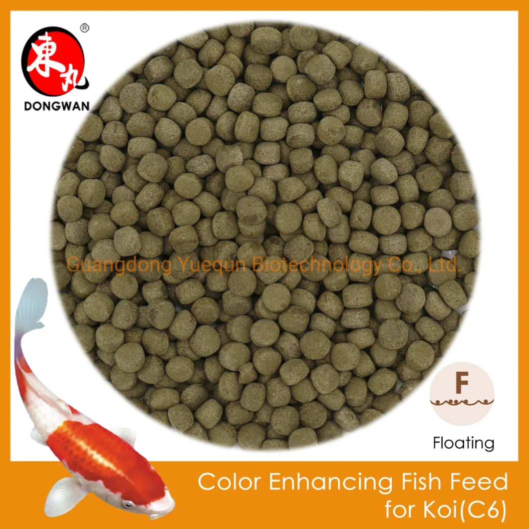 China Factory Ornamental Fish Food Fish Feed Color Enhancing Food for Koi
